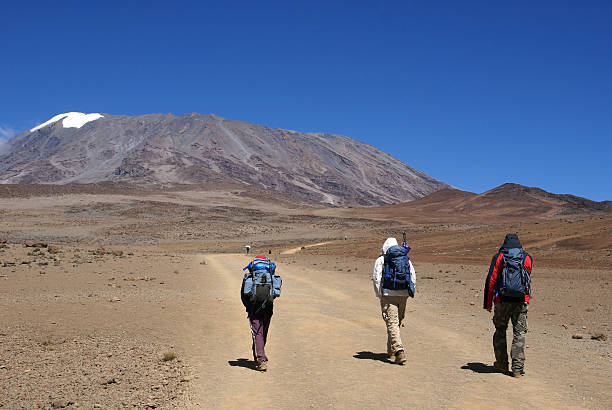 escalade le kilimandjaro mountain - uhuru peak photos et images de collection