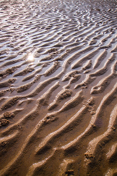 le marais beach - sahara desert coastline wind natural pattern photos et images de collection