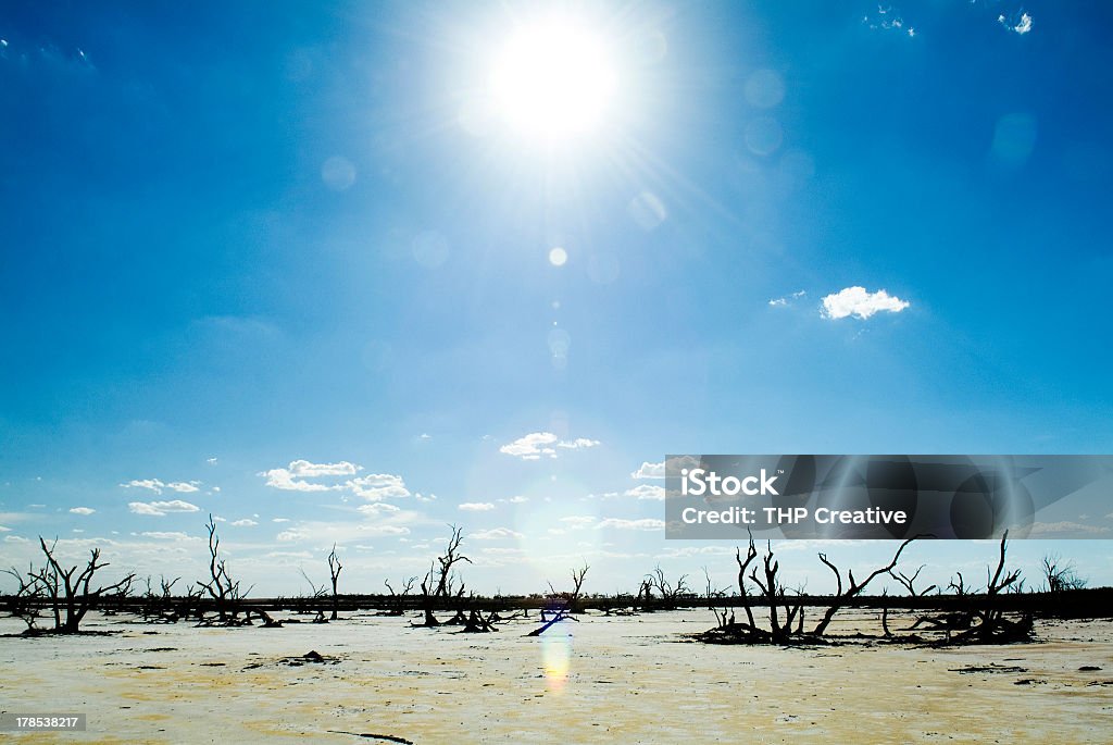 Cambiamenti climatico - Foto stock royalty-free di Australia