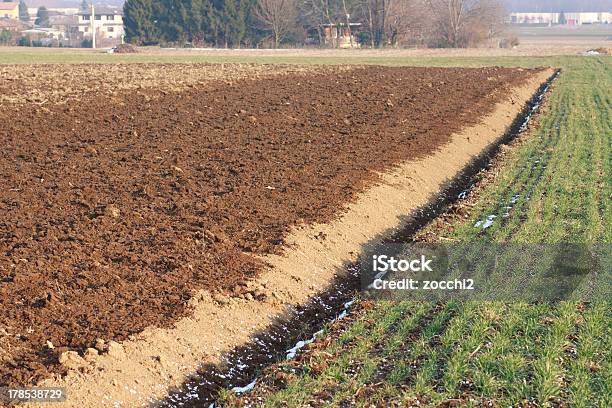 Plowed Field Stock Photo - Download Image Now - Agriculture, Cereal Plant, Cultivated