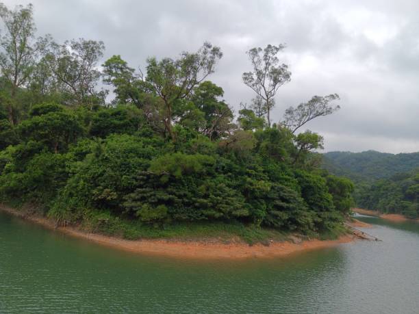 istock Reservoir with dense, green trees 1785388591