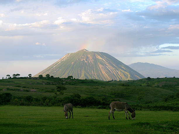 Ol Doinyo Lengai-montaña de Dios (Tanzania - foto de stock