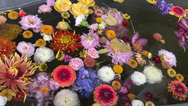 Beautiful flowers and autumn leaves in water.