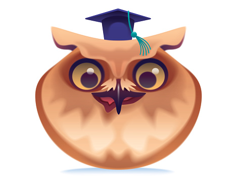 vector illustration of wise owl making a face icon
