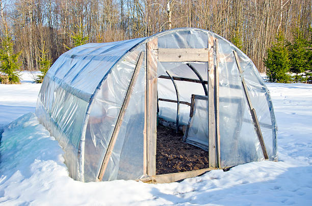 primitive handmade greenhouse in winter time on snow primitive handmade polythene greenhouse for vegetable  in winter time on snow winter chicken coop stock pictures, royalty-free photos & images
