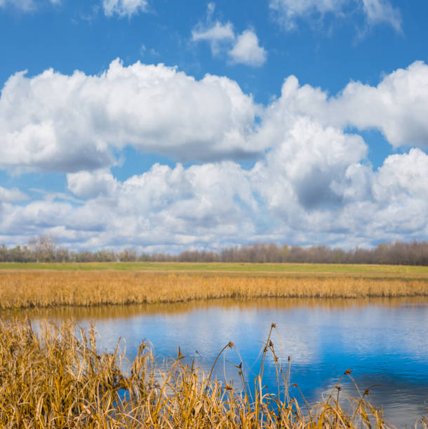 istock small lake among prairie under a blue cloudy sky 1785401050