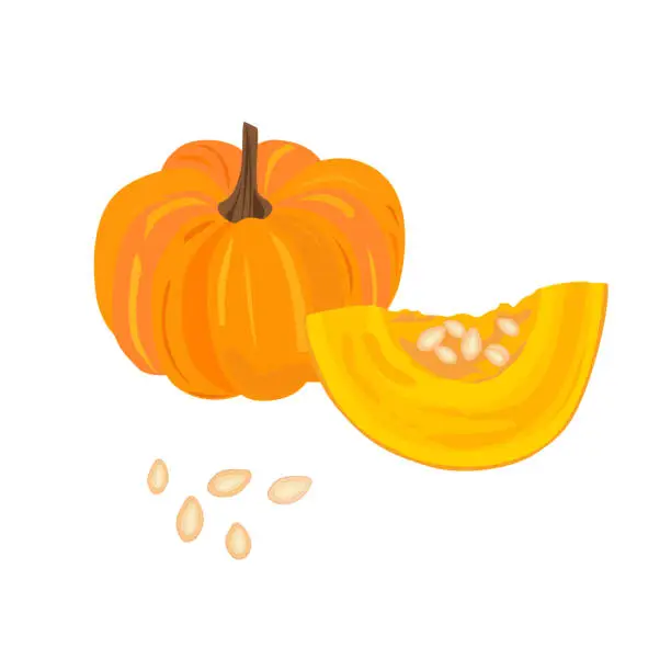Vector illustration of Pumpkin vector set