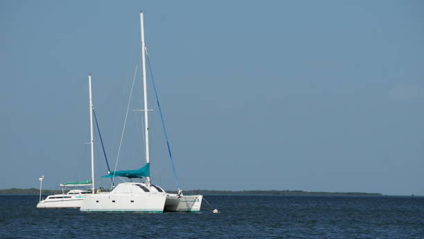 istock Anchored Catamarans in harbor in Key Largo, Florida 1785409366