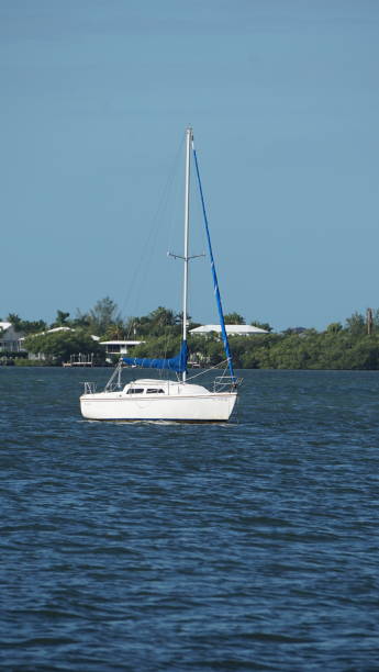 istock Anchored Sail Boat in Key Largo Harbor 1785409794