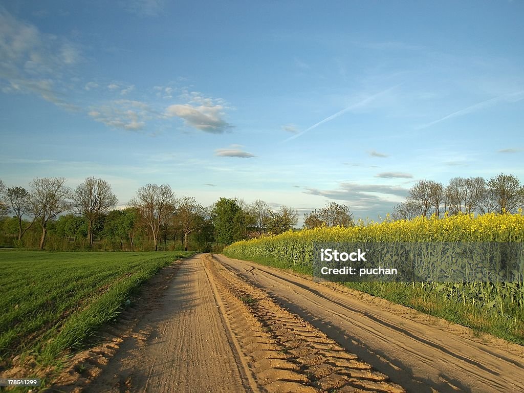 Primavera paesaggio rurale - Foto stock royalty-free di Agricoltura