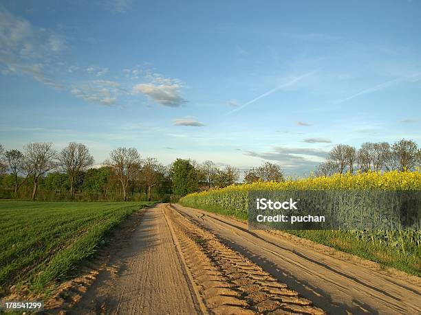 Primavera Paisagem Rural - Fotografias de stock e mais imagens de Agricultura - Agricultura, Ao Ar Livre, Campo agrícola