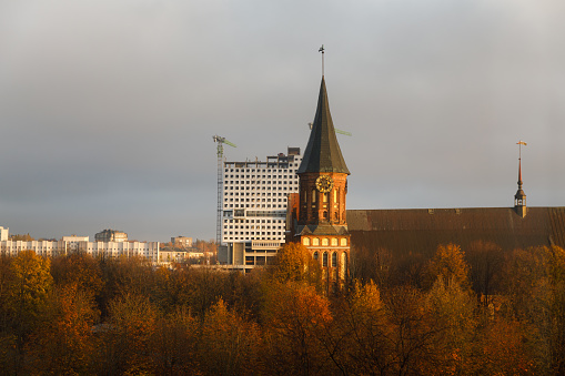 Kaliningrad, Russia - November 09 2023: Dismantling of the House of Soviets abandoned building in the foreground of the Cathedral