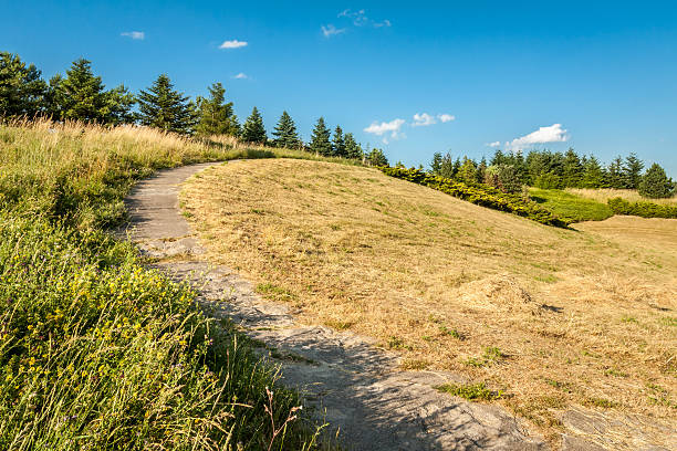 istock Rural Scene in the summer 178543757
