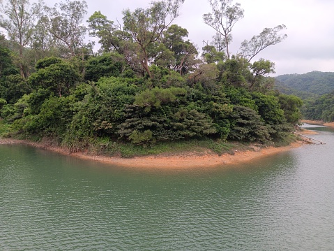 Autumn time with evergreen trees surrounding reservoir