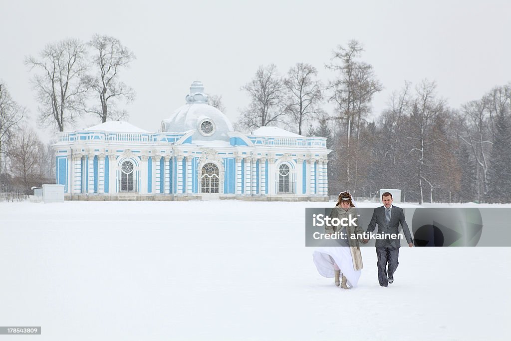 Just married auf Einfrieren lake im winter - Lizenzfrei Anzug Stock-Foto