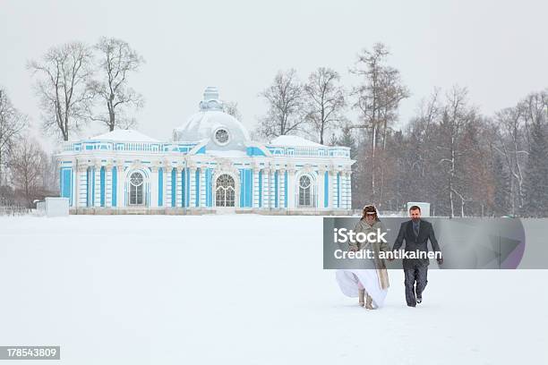 Just Married Auf Einfrieren Lake Im Winter Stockfoto und mehr Bilder von Anzug - Anzug, Braut, Bräutigam