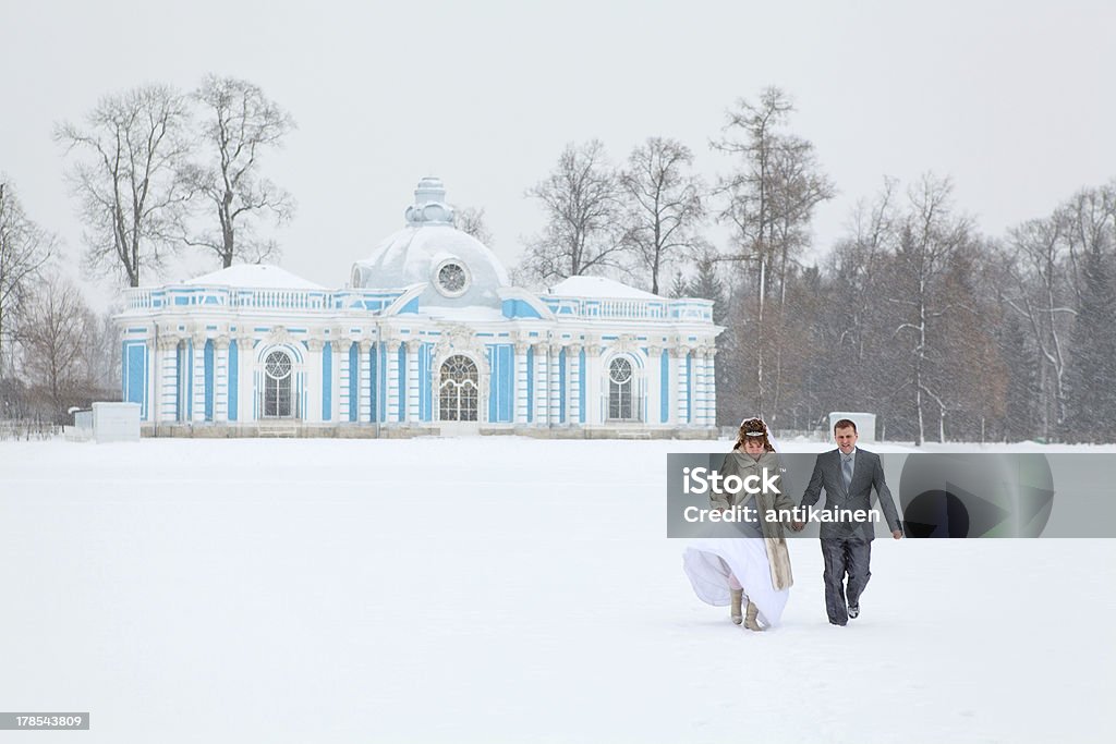 Just married camminare su congelamento lago area della stagione invernale - Foto stock royalty-free di Adulto