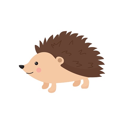 Cute cartoon hedgehog isolated on white background. Forest animal. Vector illustration