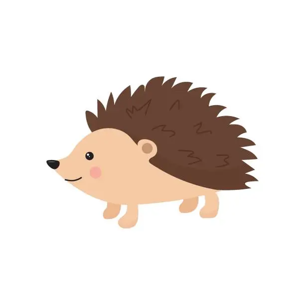 Vector illustration of Cute cartoon hedgehog isolated on white background. Forest animal. Vector illustration