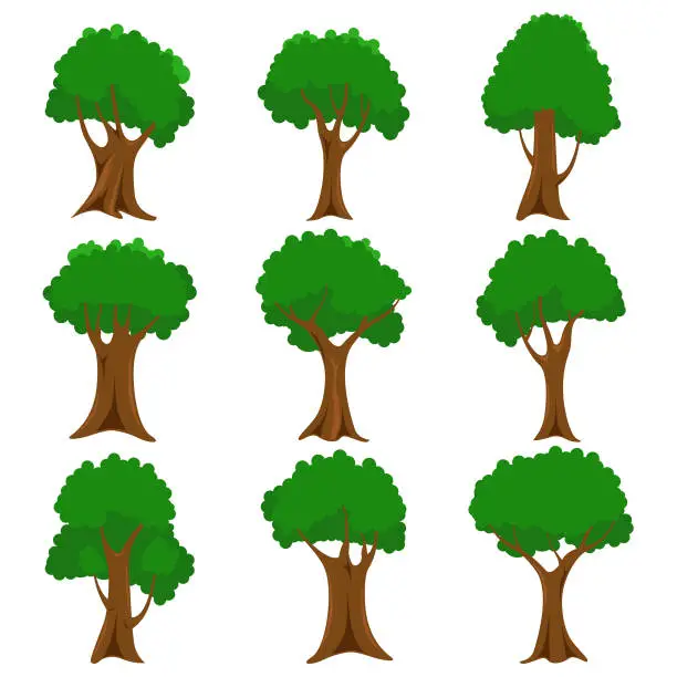 Vector illustration of Tree vector set