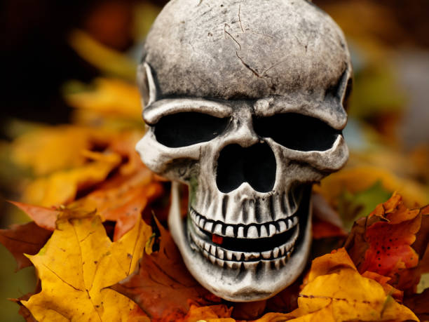 istock Halloween Skull with Autumn Leaves 1785447620