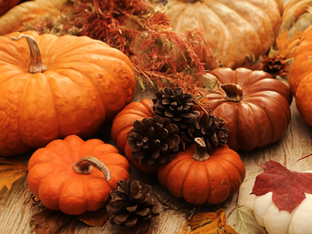 istock Gourds and Pinecones Autumn Still Life 1785448184