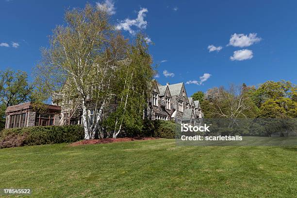 House With Trimmed Lawn Stock Photo - Download Image Now - Birch Tree, Blue, Bush