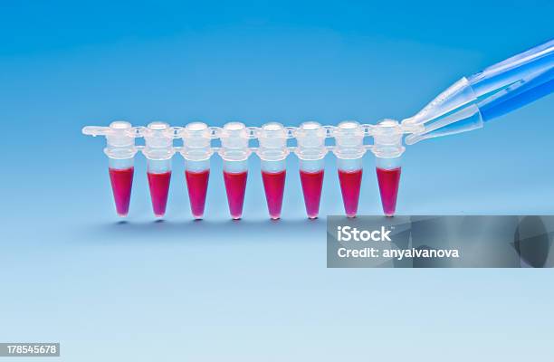 견본품 Dna 앰플리피케이션 0명에 대한 스톡 사진 및 기타 이미지 - 0명, DNA, PCR 장치