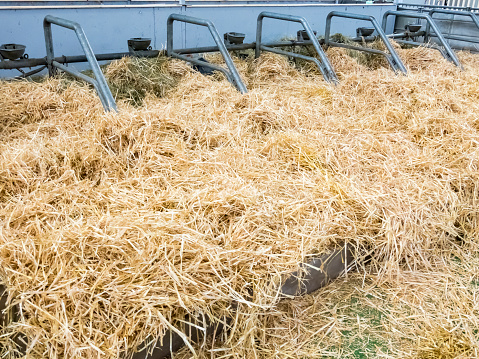 Bale - hay packed and ready for storage.