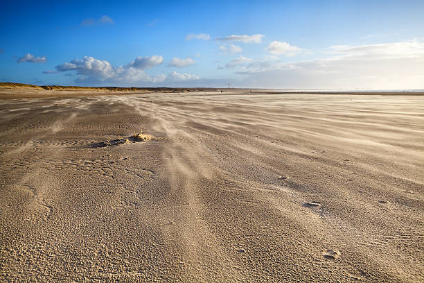 istock windy sand beach in Ijmuiden 178546817