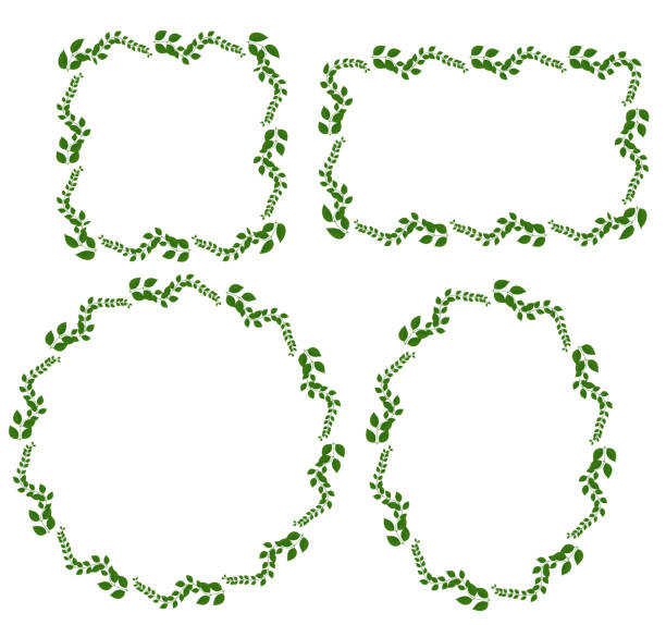 花柄の緑の葉のフレームのデザイン要素。葉のデザインは正方形、長方形、円、楕円形。外側の葉のデザイン。結婚式招待状フレームセット - white background image australia sunlight点のイラスト素材／クリップアート素材／マンガ素材／アイコン素材