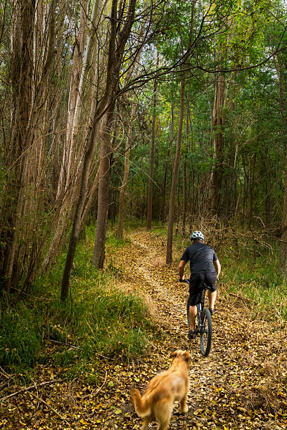 istock Fitness trail in the fall 178547508