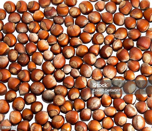 Hazelnuts Background Stock Photo - Download Image Now - Animal Shell, Autumn, Breakfast