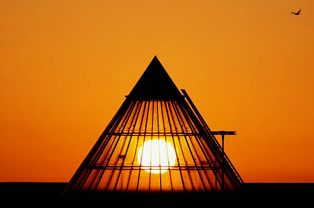 coucher de soleil à travers la verrière - bird netting cage birdcage photos et images de collection