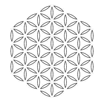 The Flower of Life Symbol. One of the basic sacred geometry shapes. Symmetry Vector illustration.