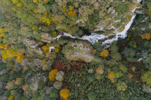 istock zenithal aerial drone view of a waterfall in a mountain forest 1785500905