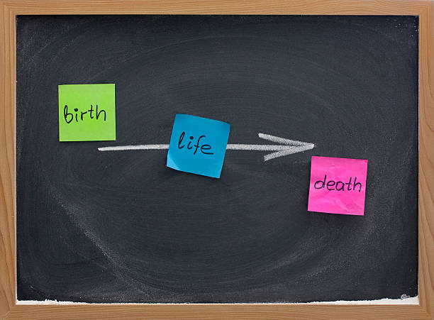 istock birth, life, death or passing time concept 178550803