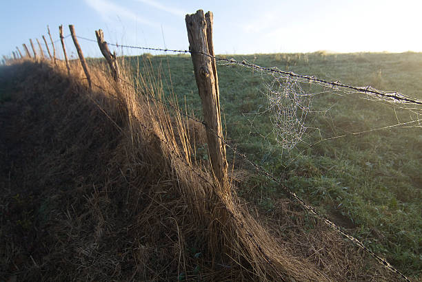 Barbed wire delimiting the fields, Cantabria Wire fence delimiting the fields, Cantabria alambrada stock pictures, royalty-free photos & images