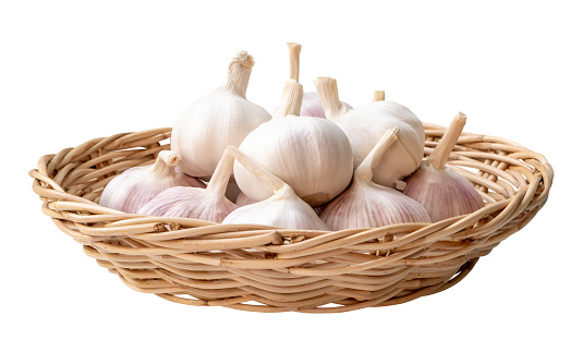 Garlic bulbs in stack is in bamboo wooden basket isolated on white background with clipping path.