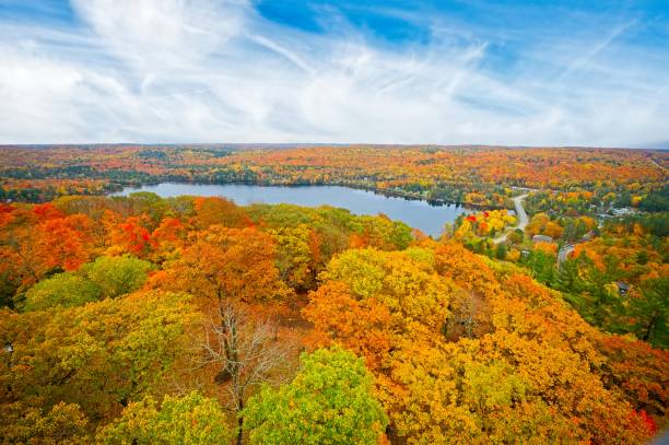 istock Aerial View of Trees Fall Colours and Small Lake 1785514266