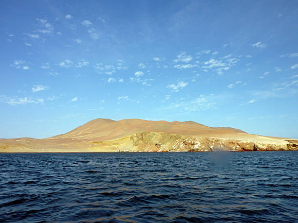 istock The Paracas National Reservation in Ica, Peru 178551497
