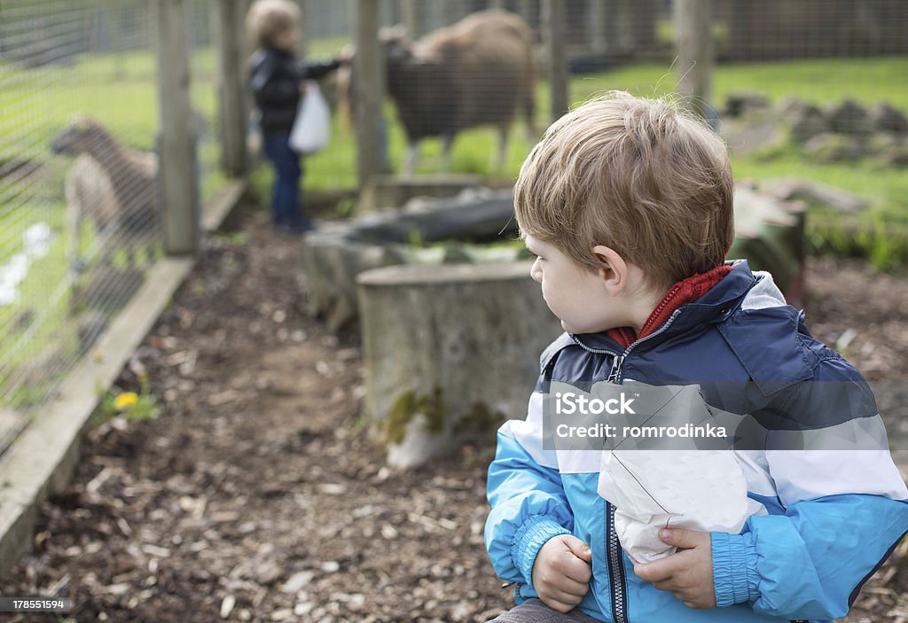 Dwóch małych chłopców żywienia zwierząt w zoo - Zbiór zdjęć royalty-free (12-17 miesięcy)