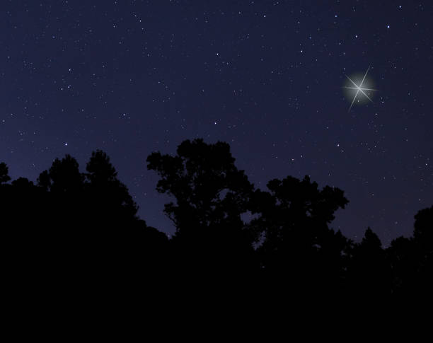 istock Christmas star rising over a dark forest 1785521274