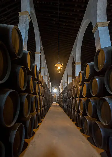 Photo of Sherry barrels in Jerez bodega, Spain