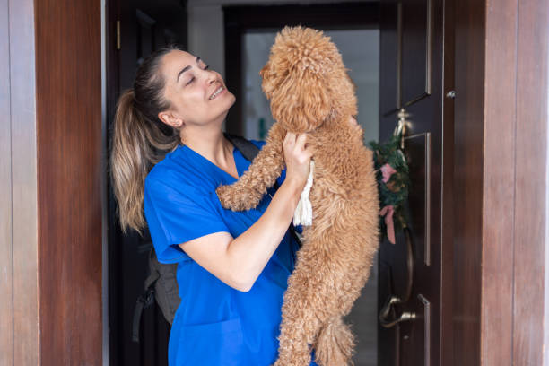 istock Woman With Scrubs Arriving Home From Work 1785522865