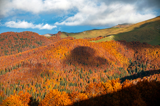 Deciduous forest in mid-autumn in the eastern valleys of the Navarrese Pyrenees, from the port of Laza in Navarra, Spain with a heart that is formed with the shadow of the clouds