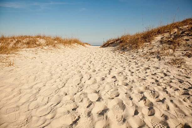 Path To The Beach "A beach is a landform along the shoreline of an ocean, sea, lake or river. It usually consists of loose particles which are often composed of rock, such as sand, gravel, shingle, pebbles or cobblestones. The particles comprising the beach are occasionally biological in origin, such as mollusk shells or coralline algae.Wild beaches are beaches which do not have lifeguards or trappings of modernity nearby, such as resorts, camps and hotels. They are sometimes called undeclared, undeveloped or undiscovered beaches. Wild beaches can be valued for their untouched beauty and preserved nature. Beaches typically occur in areas along the coast where wave or current action deposits and reworks sediments." eastern shore sand sand dune beach stock pictures, royalty-free photos & images