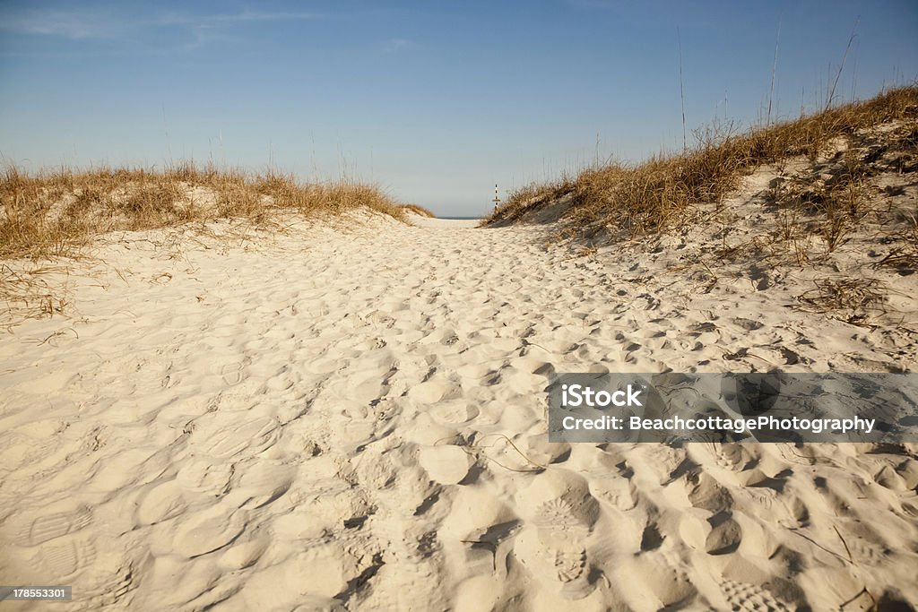 Ścieżka do plaży - Zbiór zdjęć royalty-free (Bez ludzi)
