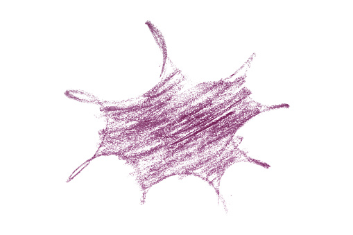 Draw a dark purple pencil line isolated on a white background.