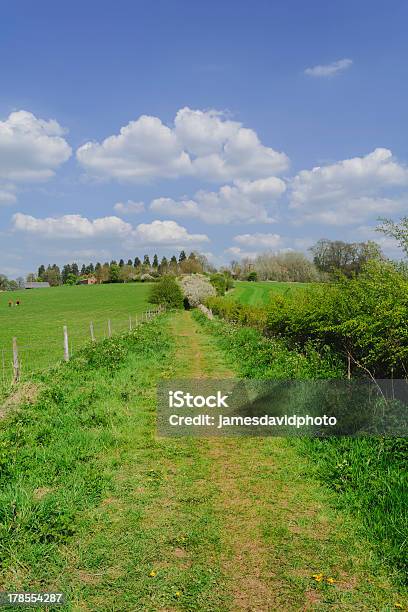 Camino Foto de stock y más banco de imágenes de Accesibilidad - Accesibilidad, Agricultura, Aire libre